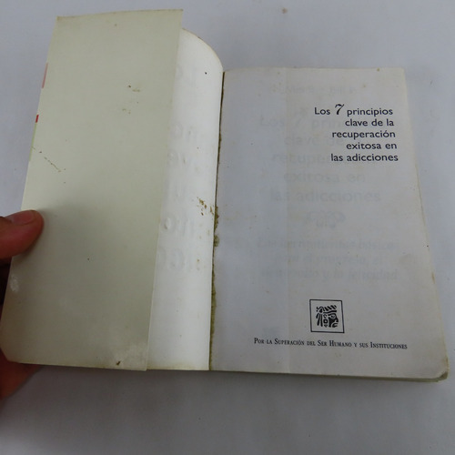 L7062 7 Principios Clave De Recuperacion Exitosa Adicciones (Usado)