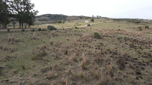 Imagen 7 de 12 de Chacra En Maldonado 3ha Sierra De Los Caracoles (ref: Atm-6801)