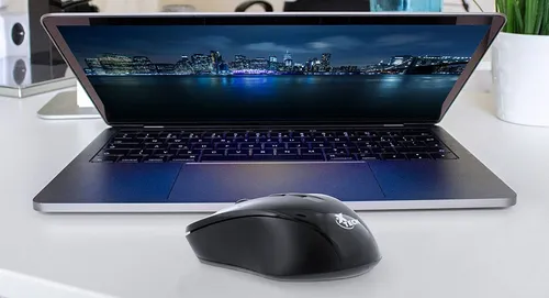 Mouse Optico Wireless Rf Usb X-tech Xtm-300 Color Negro Negro
