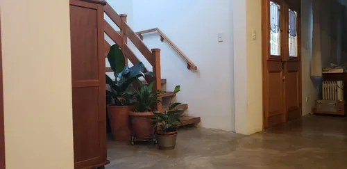 Casa Ampla E Arborizada