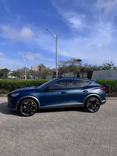 Cupra formentor 2.0 Tsi Mate Dsg