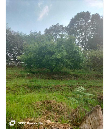 Terreno En Venta En Emiliano Zapata Ejido De Tenancingo, Tenancingo, México