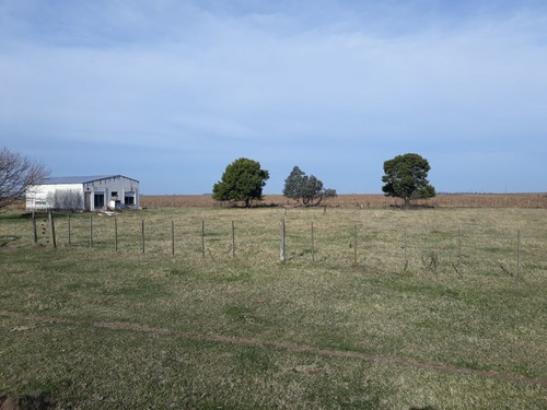 Imagen 5 de 6 de Campo De 870 Hectáreas Mixtas Carlos Tejedor