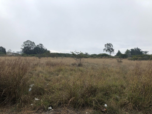 Terreno En Venta En Comitan
