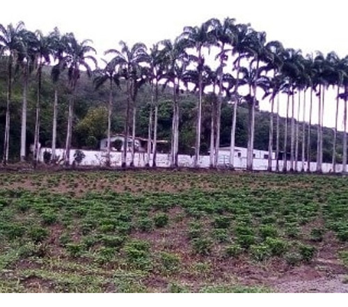 Venta De Finca 21 H:a En Sabaneta , Montalban , Carabobo Liortg 2