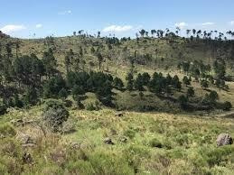 Imagen 4 de 4 de Hectarea En Zona De Arroyo El Cajon Altos Del Durazno