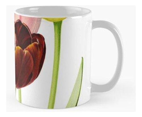 Taza Tulipanes Vintage Calidad Premium