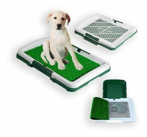 Baño Educador Y Ecológico Para Perros Puppy Potty Pad