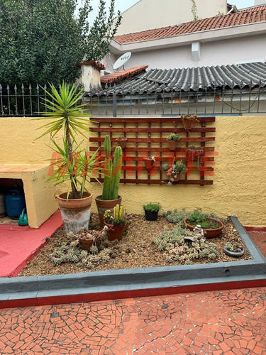 Imagem 13 de 24 de Terreno Em Vila Guilherme - São Paulo, Sp - 362646