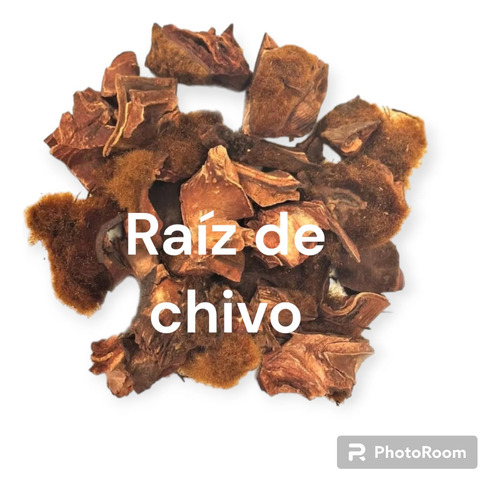 Raíz De Chivo Pez Medicinal 100% Natural