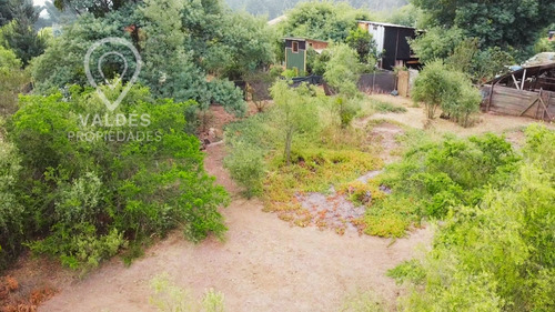 Terreno En Los Pinos Excelente Conectividad