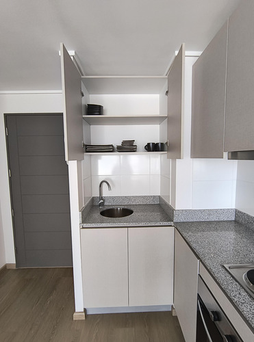 Arriendo Departamento 1d-1b-1b, Edificio Maipú, Centro De C
