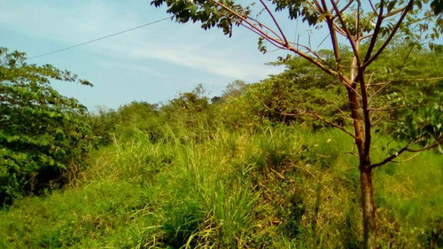 Terreno Venta Poza Rica De Hidalgo Veracruz 2000 M²