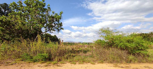 Imagen 3 de 6 de Finca En Venta Sabana Del Medio
