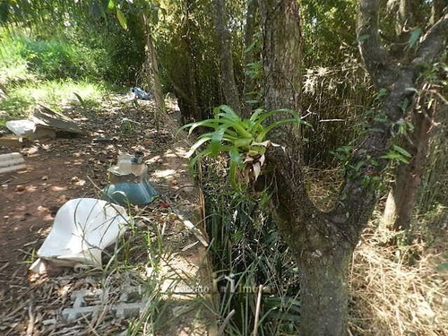 Imagem 13 de 15 de Terreno Vista Panorâmica Venda Centro Atibaia - Te0231-1