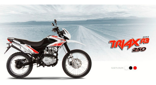 Imagen 2 de 21 de Corven Triax 250 R3