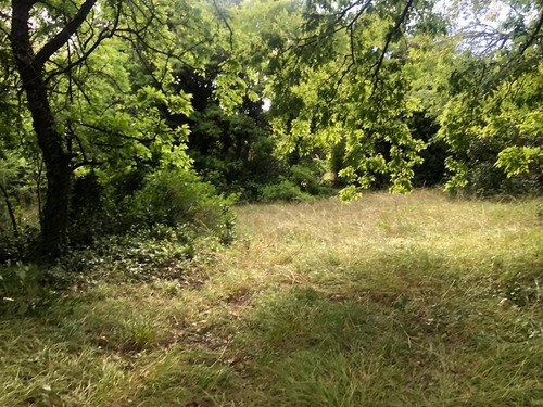 Imagen 3 de 14 de Lote En Esquina - Punta Indio - T-750