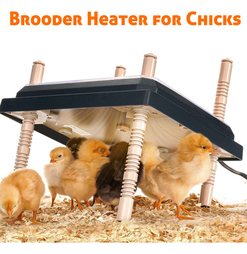 Calentador Criador Para Pollitos Abs Poultry Coop