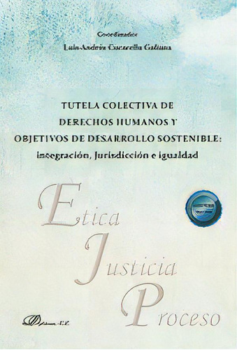 Tutela Colectiva De Derechos Humanos Y Objetivos De Desarrol, De Aa.vv.. Editorial Dykinson, S.l., Tapa Blanda En Español