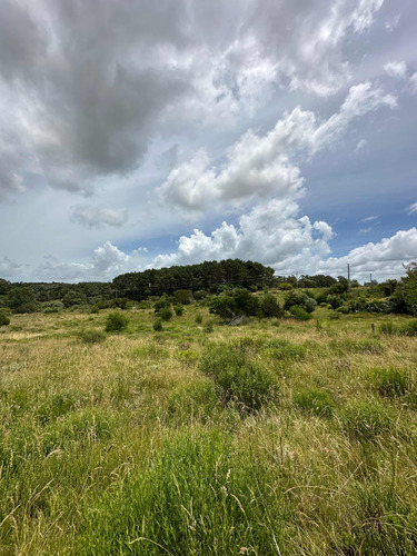 Venta De Terreno En La Paloma