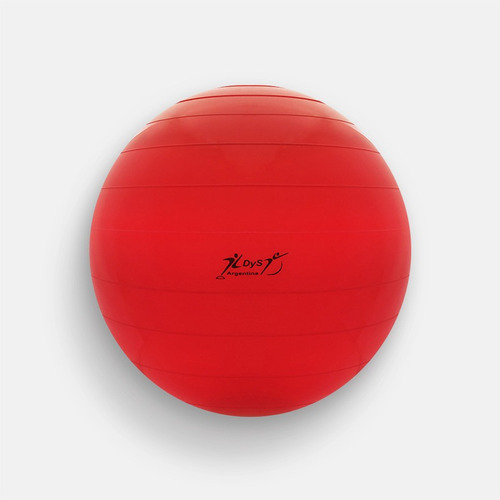 Pelota Pilates 60 Cm Reforzada Yoga Esferodinamia Gym