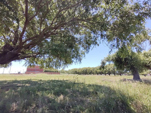 Gran Loteo En San Bernardo, Sobre Colectora!