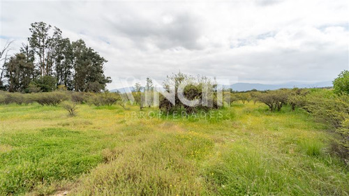 Parcela De 5000m2 Condominio Las Añañucas Limache