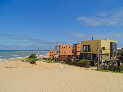 Lobos De Mar En Punta Del Diablo