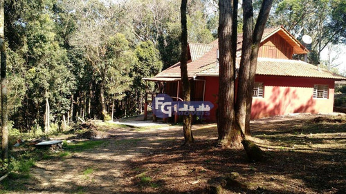Imagem 1 de 25 de Chácara Com 2 Dormitórios À Venda, 5400 M² Por R$ 319.000,00 - Campestre Da Faxina - São José Dos Pinhais/pr - Ch0013
