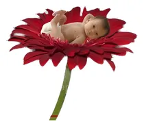 Comprar Fotografía Digital Fondos Niños Apoyos De Telones De Fondo