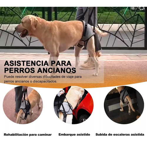 3 Arnés De Elevación Para Perro, Arnés Para Patas Traseras
