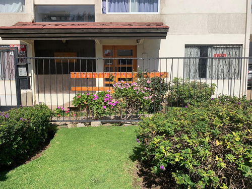 Disponible Departamento En Reñaca Centro Amoblado