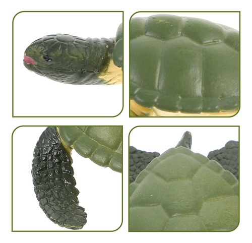 Figura De Tortuga Modelo Tortuga De Plástico Modelo Tortuga