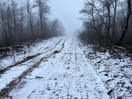 Parcela De 5000m2 Rodeada De Plena Naturaleza En Romeral