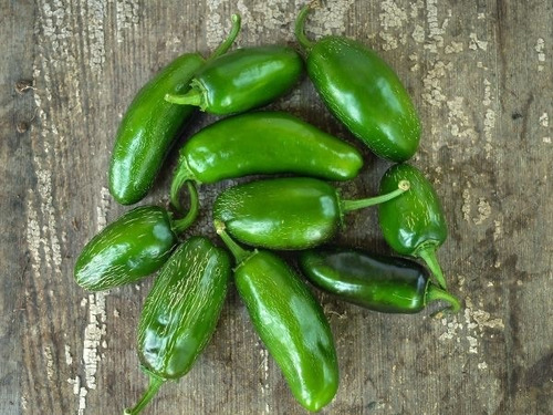 Baker Creek Heirloom Seeds Chile Jalapeño 25 Semillas