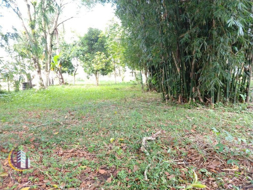 Chácara Com 2 Dormitórios À Venda, 3300 M² Por R$ 150.000 - Rocil - Iguape/sp - Ch0031