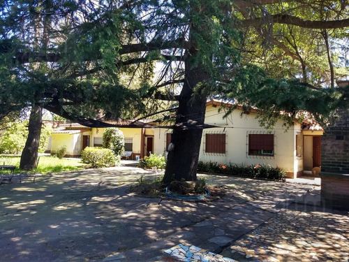 Imagen 2 de 6 de Quinta - El Jaguel - Ideal Inversores