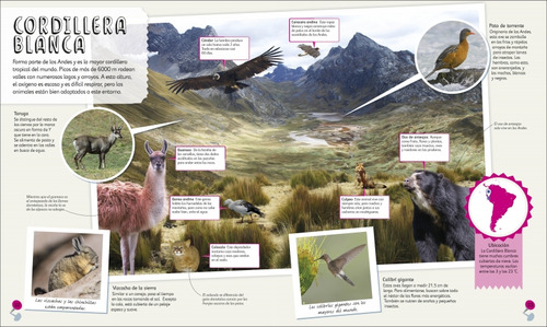 Mi Primer Atlas De Animales