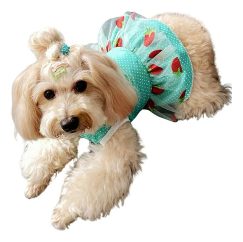 Vestido Para Mascotas - Estampado Fresitas Verde - Pequeño