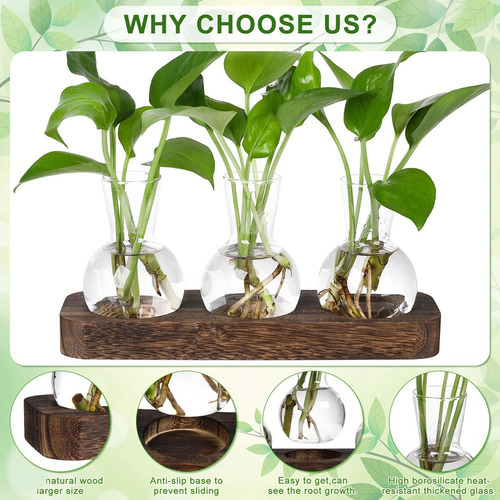 New Estaciones De Propagación De Plantas Estación De Maceta