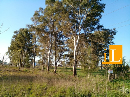 Lotes Sobre Ruta 210 - Cnel. Brandsen.