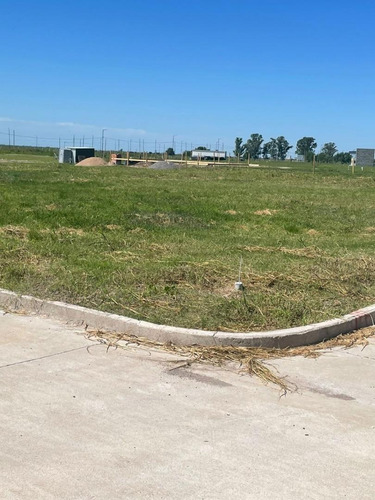Imagen 2 de 12 de Se Vende Lote En La Ernestina 300 Mts Oportunidad