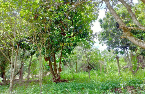 Chácara Para Venda Em Cajamar, Ponunduva, 4 Dormitórios, 3 Banheiros, 4 Vagas - 20882_1-1745244