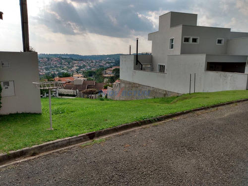 Imagem 2 de 9 de Terreno À Venda Em Jardim Botânico (sousas) - Te274779