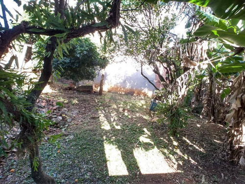 Imagem 9 de 15 de Terreno À Venda, 295 M² Por R$ 213.000 - Ouro Branco - Novo Hamburgo/rs - Te1057