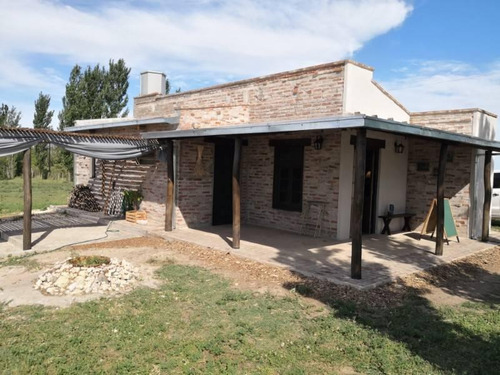 Imagen 6 de 30 de Viñedo Boutique, Totalmente Productivo, Con Casa Y Cava