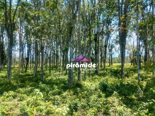 Imagem 3 de 3 de Excelente Área Com Escritura Definitiva Em Caraguatatuba - Ar0045