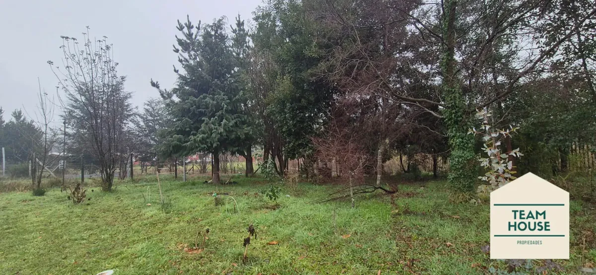 Imagen 4 de 30 de Paillao, Amplia Casa En Parcela, Valdivia