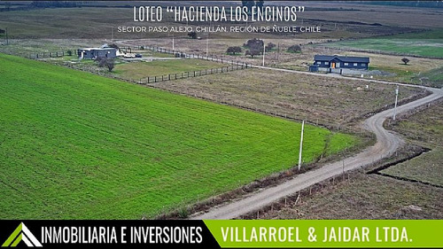 Venta De Parcela Camino A Coihueco