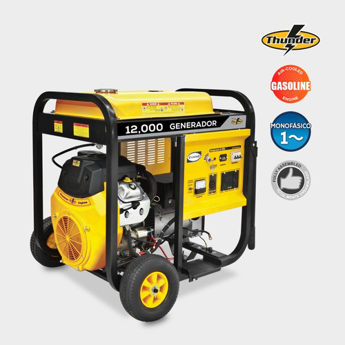 Generador Monofásico Evans 12,000w Motor Thunder 22hp